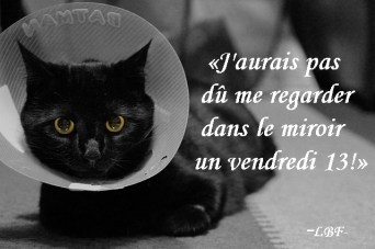 LBF char noir carcant - Copie