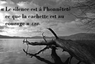 LBF-pixabay arbre - Copie