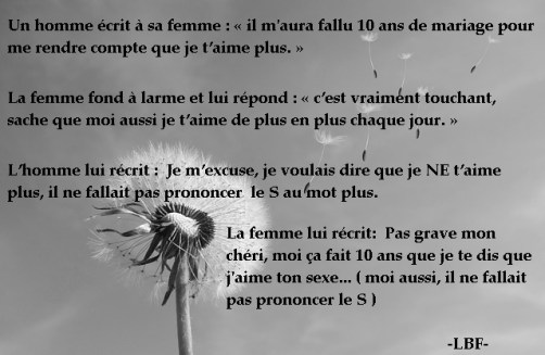 LBF-Pixabay pissenlit - Copie