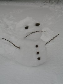 LBF snowman sad