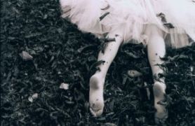 LBF- Source suicide-files